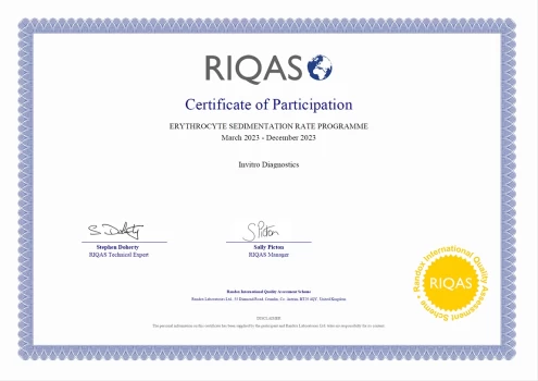 certificate 13