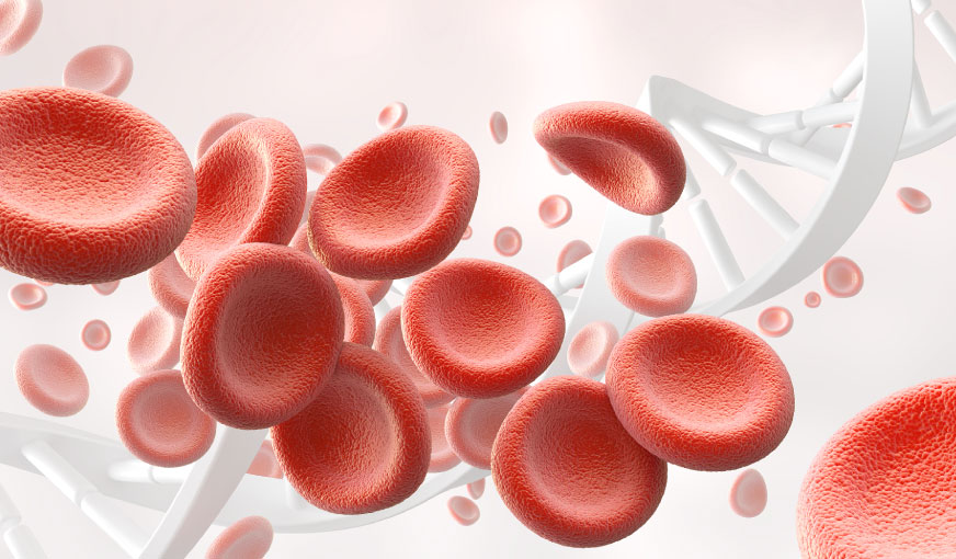 Coagulation Profile (Coagulogram)