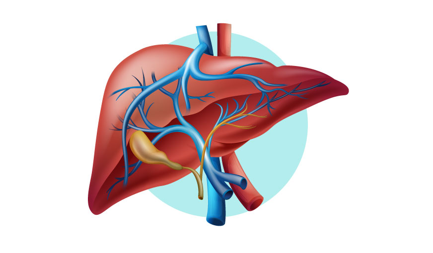 Pancreato-hepatic profile