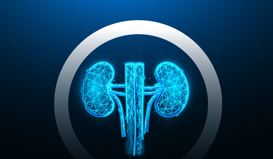 Renal profile extended